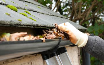gutter cleaning Treworgan Common, Monmouthshire